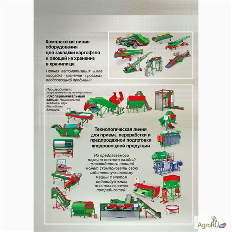 Значение предпродажной обработки кураги