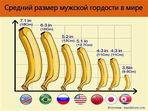 Значение размера влагалища для мужчин