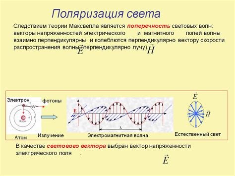 Значение степени поляризации в природе