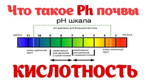 Значение характерной кислотности