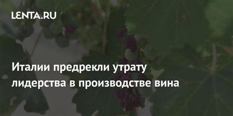 Значимость в производстве вина