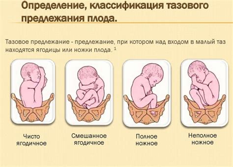 Значимость измерения размеров плода для предсказания возможных осложнений