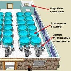 Значимость контроля и управления размножением разводимой рыбы