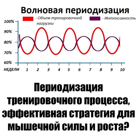 Значимость регулярных читмилов для эффективного тренировочного процесса