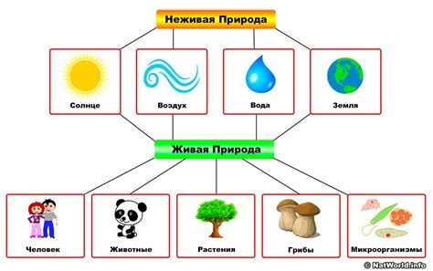 Значимость рек и речных систем для живой природы