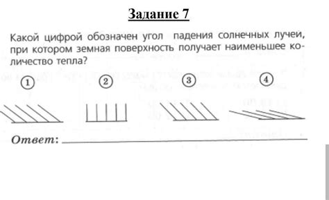 Избегайте воздействия прямых солнечных лучей при сушке папахи