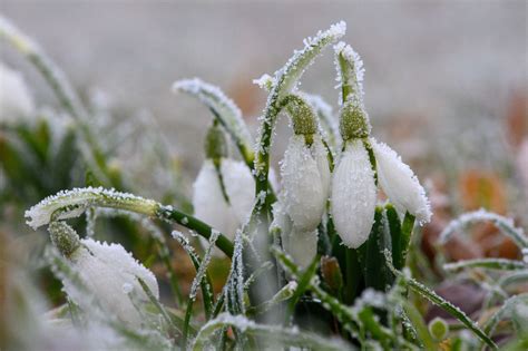 Избегайте пере заморозки