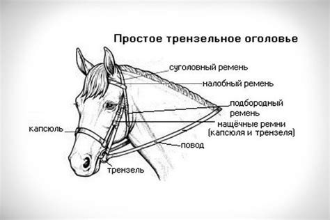 Изготовление основы уздечки