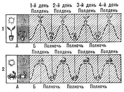 Изменения в длине дня и освещении