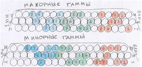 Изучение аккордеона: основные этапы и рекомендации