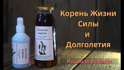 Изучение истории золотого корня