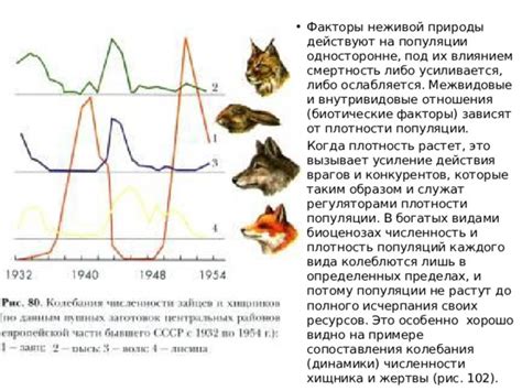 Изучение на примере популяций малых размеров