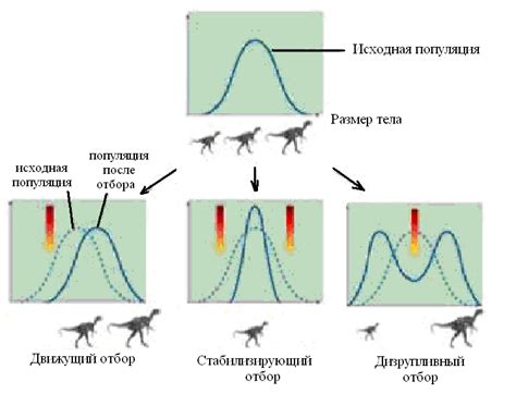 Изучение принципов естественного отбора