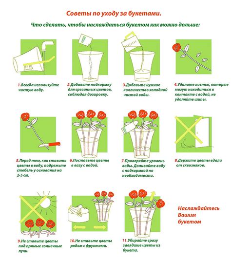 Инструкция по уходу