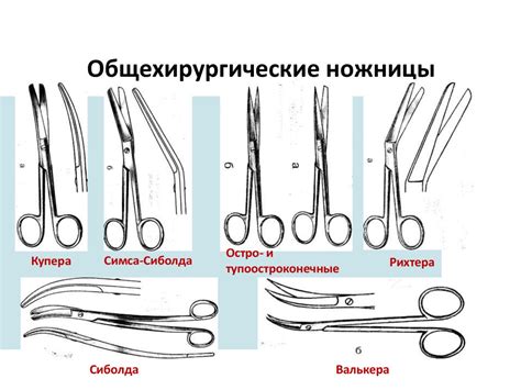 Инструменты массажиста: отличия и назначение