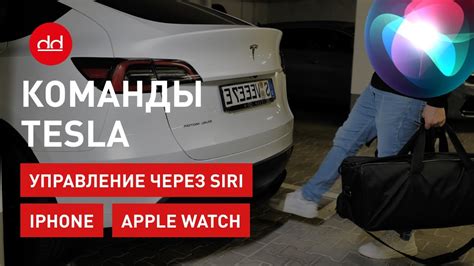 Использование гласной команды «Эй, Siri» для поиска текущего времени