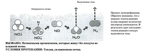 Использование информации об аммиаке