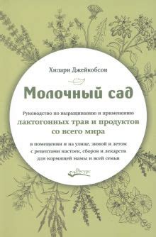 Использование лактогонных продуктов и растений