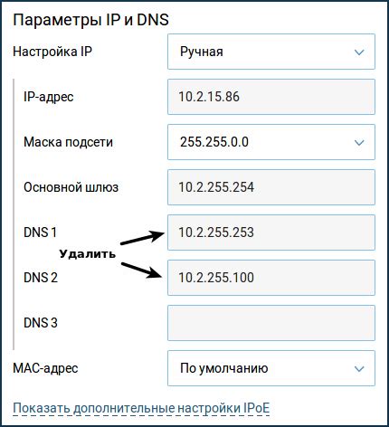 Использование произвольных DNS-серверов