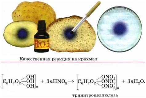 Исследование соединения крахмала и йода