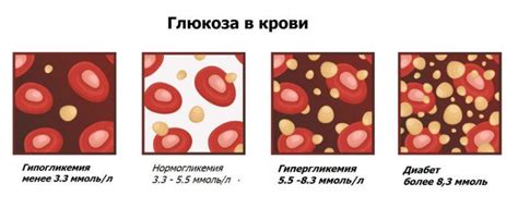 Исследования и доказательства эффективности икры мойвы в регулировании глюкозы в крови у пациентов с диабетом