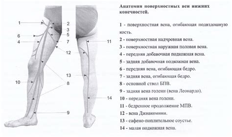 Историческое происхождение метода увеличения длины нижних конечностей с использованием грузовых устройств