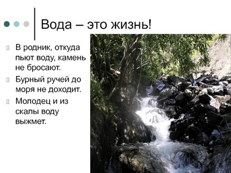 История пословицы "В родник откуда воду пьют камень не бросают"