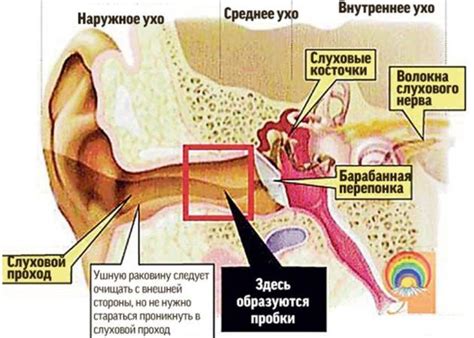 Источники возникновения зуда в ушах от наушников