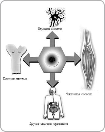 Источники поступления в организм