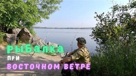 Итоги: ловится ли рыба при юго-восточном ветре? Практический опыт