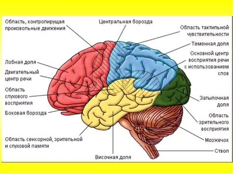 Какие знания важны для 5 класса?