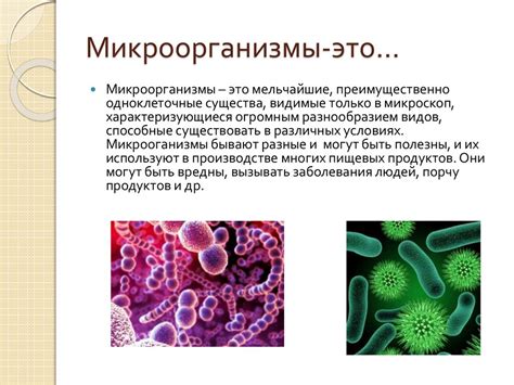 Какие микроорганизмы могут присутствовать