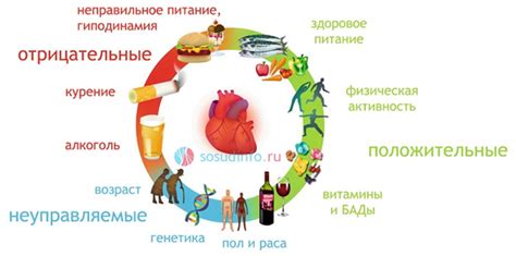 Какие факторы могут повлиять на решение посетить парную в этот день?
