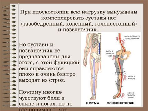 Какую нагрузку получают суставы и позвоночник