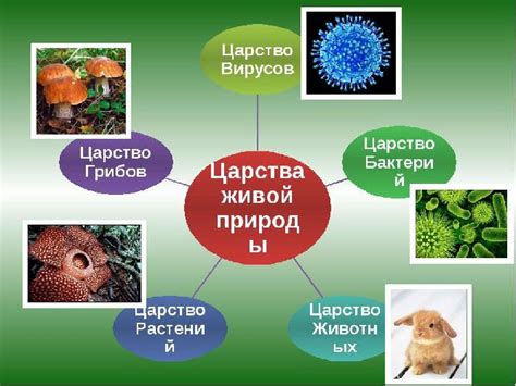 Как биология помогает в понимании природы