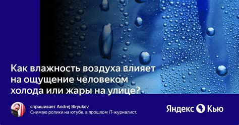 Как влажность воздуха влияет на организм человека?