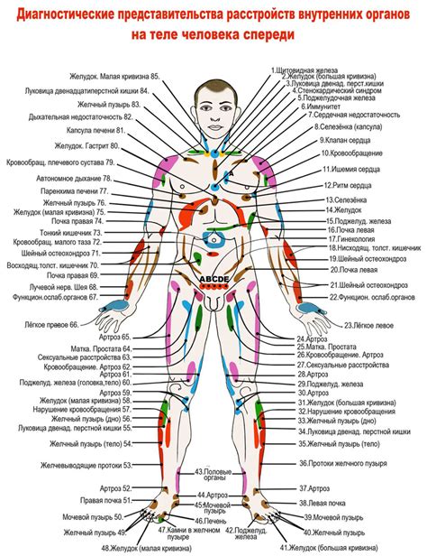 Как выбрать метод для конкретной зоны тела?