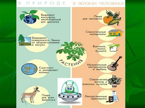 Как избежать повреждения окружающей растительности