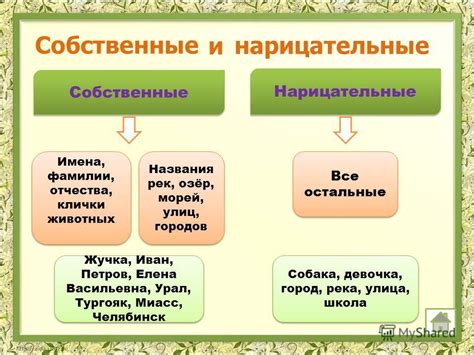 Как использовать нарицательное слово в речи