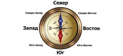 Как компас помогает в ориентации