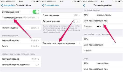 Как настроить оператора iPhone в Билайн