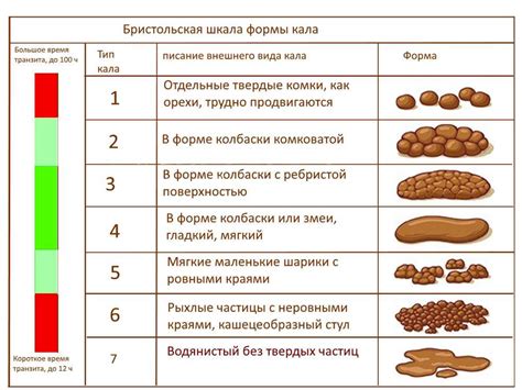 Как определить наличие кокков в образце фекалий?