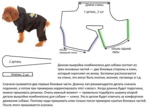 Как повысить качество одежды для собак