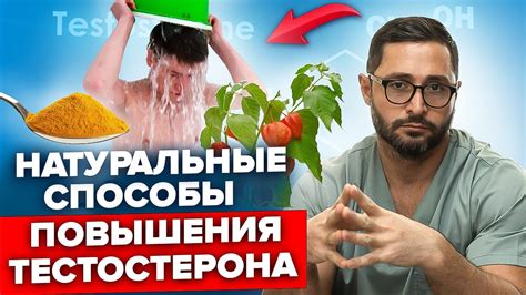 Как поднять навыки и уровень черепахи