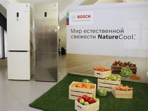 Как подобрать подходящую модель Nature cool для вашего холодильника