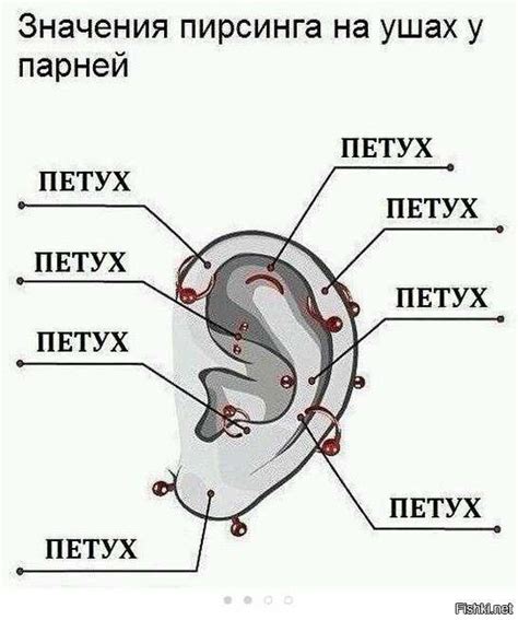 Как правильно ухаживать за проколом ушей: