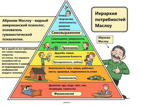 Как правильно учитывать потребности организма