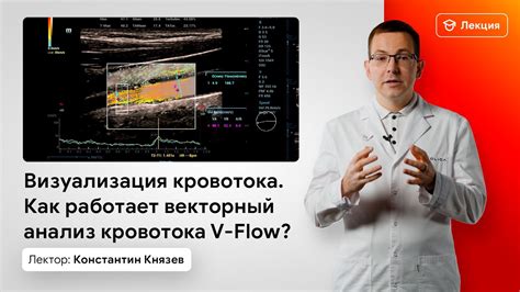 Как работает антеградное направление кровотока?