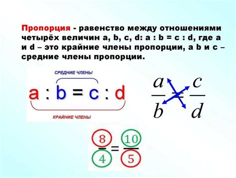 Как соблюдать пропорции