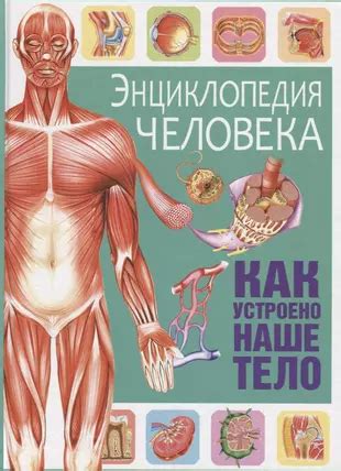 Как устроено наше центральное небесное тело и влияние его на нашу повседневную жизнь